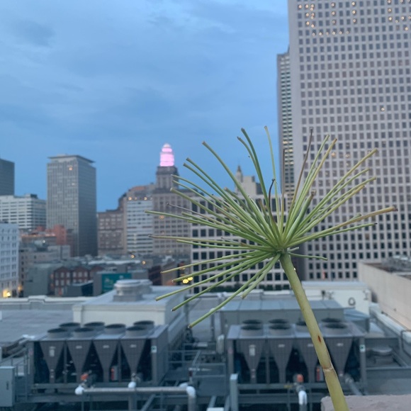 Meet your Posher, Sandra - Picture 1 of 1